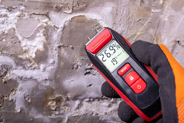 Best Bathroom Mold Remediation in Los Lunas, NM