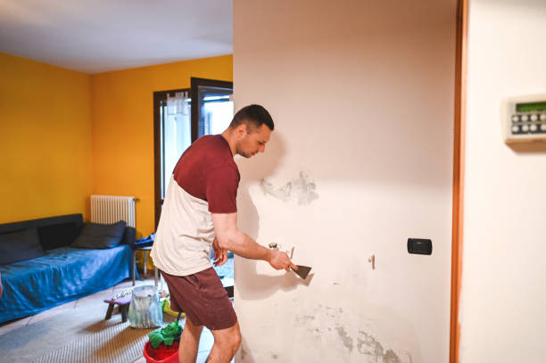 Best HVAC Mold Remediation in Los Lunas, NM